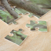 Afrika. Tansania Afrikanischer Scops-Schüssel in T Puzzle (Seite)