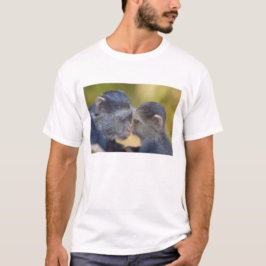 Afrika. Tansania. Blaffen Mutter mit Jungtier T-Shirt (Vorderseite)