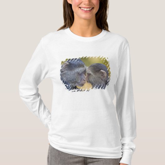 Afrika. Tansania Blauer Affe Mutter mit jungen T-Shirt (Vorderseite)