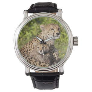 Afrika. Tansania Cheetah Mutter und Jungen 2 Armbanduhr