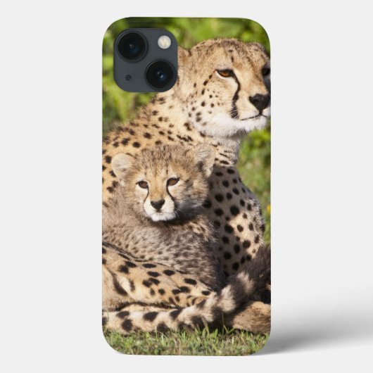 Afrika. Tansania Cheetah Mutter und Jungen 2 Case-Mate iPhone Hülle (Rückseite)