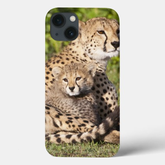 Afrika. Tansania Cheetah Mutter und Jungen 2 Case-Mate iPhone Hülle (Rückseite)