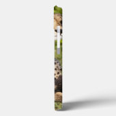 Afrika. Tansania Cheetah Mutter und Jungen 2 Case-Mate iPhone Hülle (Rückseite / Links)
