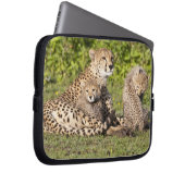Afrika. Tansania Cheetah Mutter und Jungen 2 Laptopschutzhülle (Vorne Rechts)