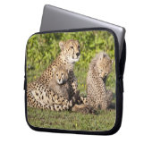 Afrika. Tansania Cheetah Mutter und Jungen 2 Laptopschutzhülle (Vorderseite Links)