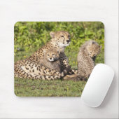 Afrika. Tansania Cheetah Mutter und Jungen 2 Mousepad (Mit Mouse)