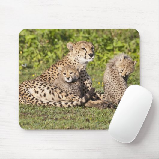 Afrika. Tansania Cheetah Mutter und Jungen 2 Mousepad (Mit Mouse)