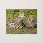 Afrika. Tansania Cheetah Mutter und Jungen 2 Puzzle (Horizontal)