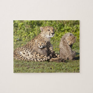 Afrika. Tansania Cheetah Mutter und Jungen 2 Puzzle
