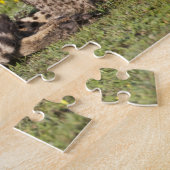 Afrika. Tansania Cheetah Mutter und Jungen 2 Puzzle (Seite)