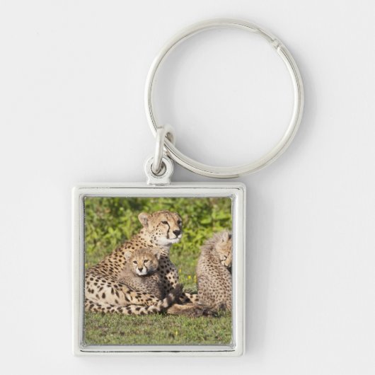 Afrika. Tansania Cheetah Mutter und Jungen 2 Schlüsselanhänger (Vorne)