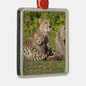 Afrika. Tansania Cheetah Mutter und Jungen 2 Silbernes Ornament (Rechts)