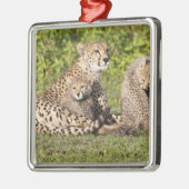 Afrika. Tansania Cheetah Mutter und Jungen 2 Silbernes Ornament (Links)