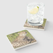 Afrika. Tansania Cheetah Mutter und Jungen 2 Steinuntersetzer (Seitenansicht)