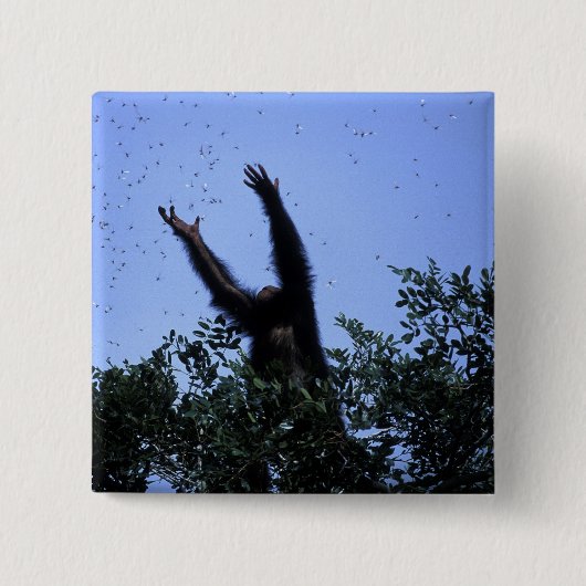 Afrika, Tansania, der Glitzer fliegt Button (Vorderseite)