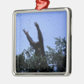 Afrika, Tansania, der Glitzer fliegt Silbernes Ornament (Links)