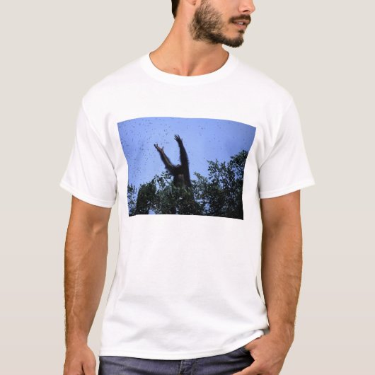 Afrika, Tansania, der Glitzer fliegt T-Shirt (Vorderseite)