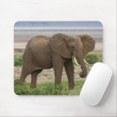 Afrika. Tansania Elefant am Lake Manyara NP. Mousepad (Mit Mouse)