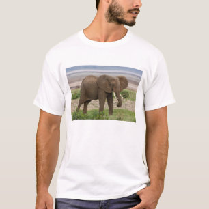 Afrika. Tansania. Elefant am Lake Manyara NP. T-Shirt