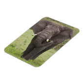 Afrika Tansania Elefant am Ngorongoro-Krater Magnet (Linke Seite)