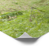 Afrika Tansania Elefant am Ngorongoro-Krater Poster (Ecke)