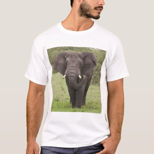 Afrika Tansania Elefant am Ngorongoro-Krater T-Shirt (Vorderseite)
