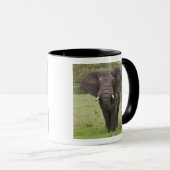 Afrika Tansania Elefant am Ngorongoro-Krater Tasse (VorderseiteRechts)