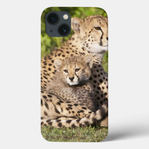 Afrika. Tansania. Gepardmutter und Junge 2 Case-Mate iPhone Hülle