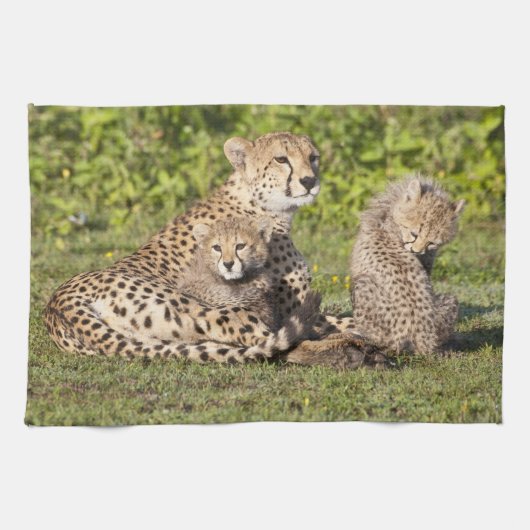Afrika. Tansania. Gepardmutter und Junge 2 Handtuch (Horizontal)