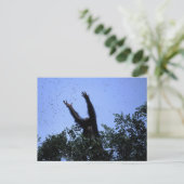 Afrika, Tansania, Glitter greift nach Fliegendem Postkarte (Stehend Vorderseite)