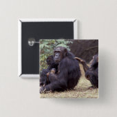 Afrika, Tansania, Gombe NP Säugling Button (Vorne & Hinten)