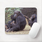Afrika, Tansania, Gombe NP Säugling Mousepad (Mit Mouse)
