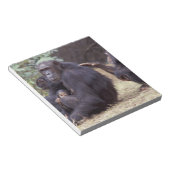 Afrika, Tansania, Gombe NP Säugling Notizblock (angewinkelt)