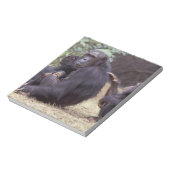 Afrika, Tansania, Gombe NP Säugling Notizblock (Rotiert)
