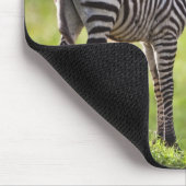 Afrika. Tansania Häufig Zebra Mutter und Kind Mousepad (Ecke)