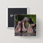 Afrika. Tansania Hippopotamus sparring Button (Vorne & Hinten)