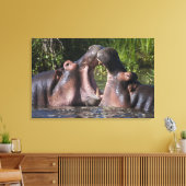 Afrika. Tansania Hippopotamus sparring Leinwanddruck (Insitu (Wohnzimmer))