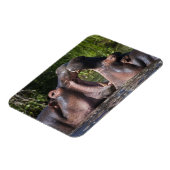 Afrika. Tansania Hippopotamus sparring Magnet (Linke Seite)