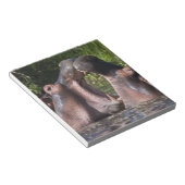 Afrika. Tansania Hippopotamus sparring Notizblock (angewinkelt)