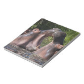 Afrika. Tansania Hippopotamus sparring Notizblock (Rotiert)