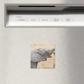 Afrika. Tansania. Junger Elefant im Tarangire Magnet (In Situ (Geschirrspüler))