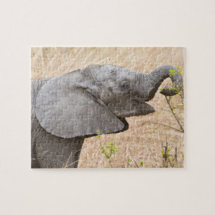 Afrika. Tansania. Junger Elefant im Tarangire Puzzle
