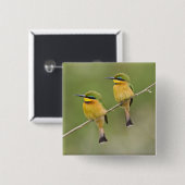 Afrika. Tansania Kleine Bienenfresser in Manyara Button (Vorne & Hinten)