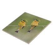 Afrika. Tansania Kleine Bienenfresser in Manyara Fliese (Seite)