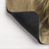 Afrika. Tansania Male Lion in Ngorongoro Mousepad (Ecke)