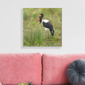 Afrika. Tansania Male Saddle-Lakai Stork Leinwanddruck (Insitu (Wohnzimmer))