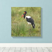 Afrika. Tansania Male Saddle-Lakai Stork Leinwanddruck (Insitu (Holzboden))