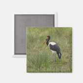 Afrika. Tansania Male Saddle-Lakai Stork Magnet (Vorderseite/Rückseite)