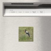 Afrika. Tansania Male Saddle-Lakai Stork Magnet (In Situ (Geschirrspüler))