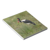 Afrika. Tansania Male Saddle-Lakai Stork Notizblock (angewinkelt)